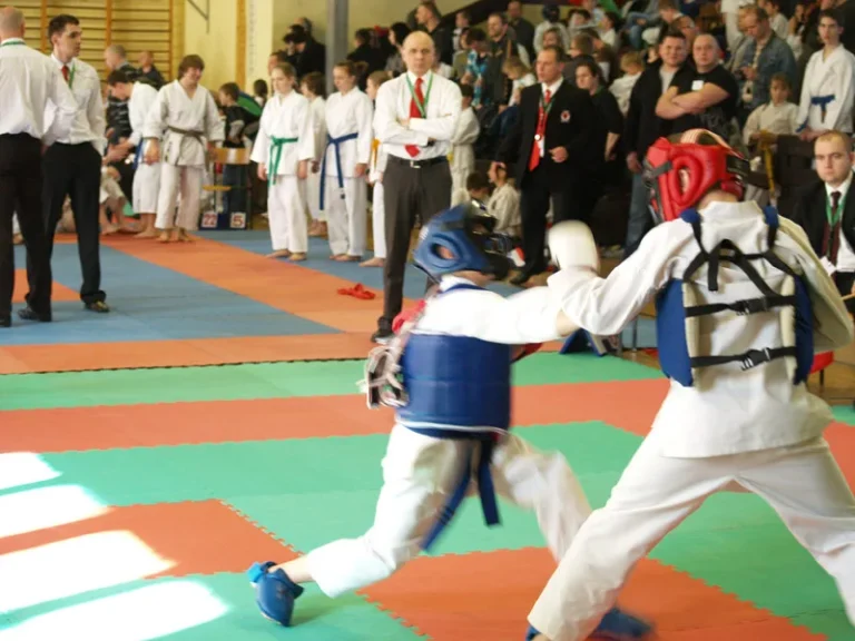 kowary_2010___P2272858