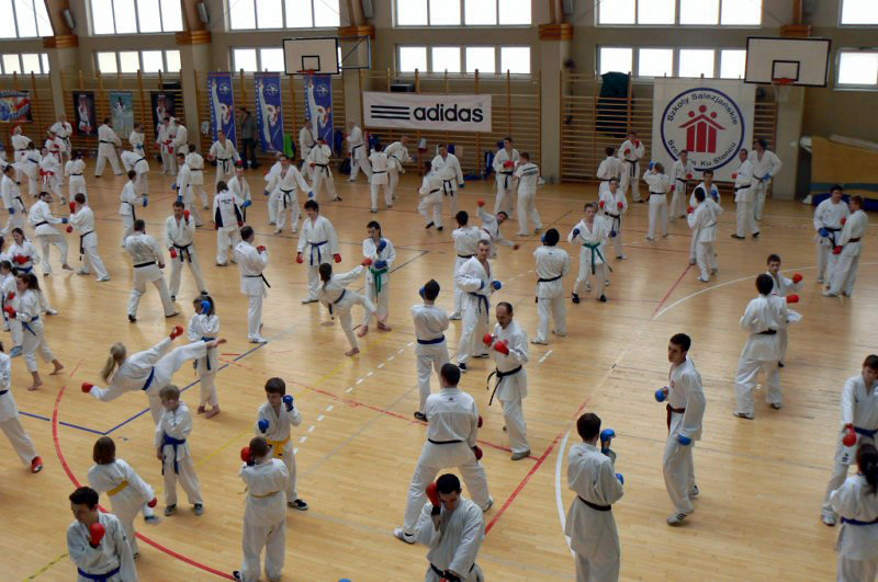 Seminarium Kumite 2011